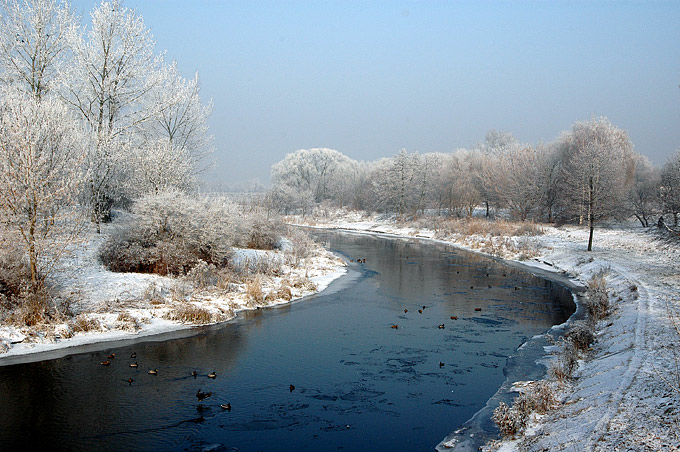 Mroźny poranek