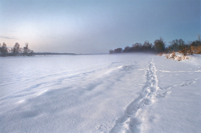 Narew