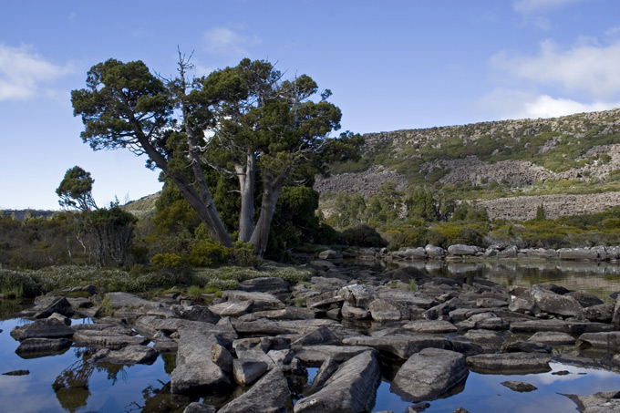 Tasmania - Pine Lake