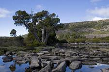 Tasmania - Pine Lake