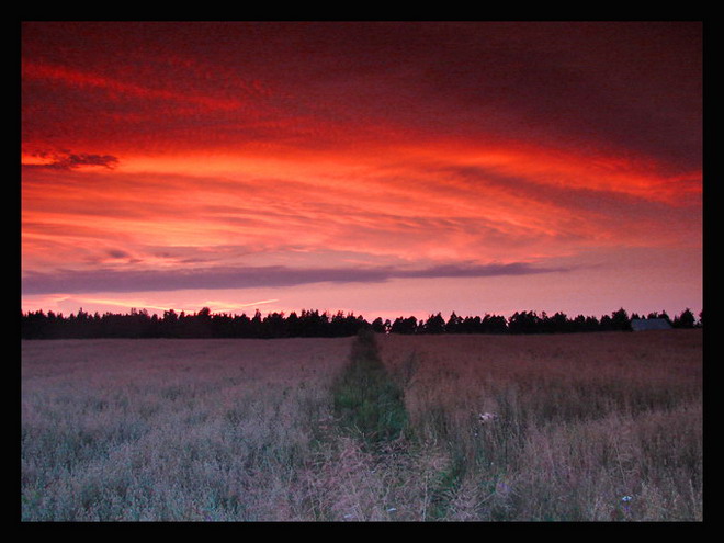 Donikąd...