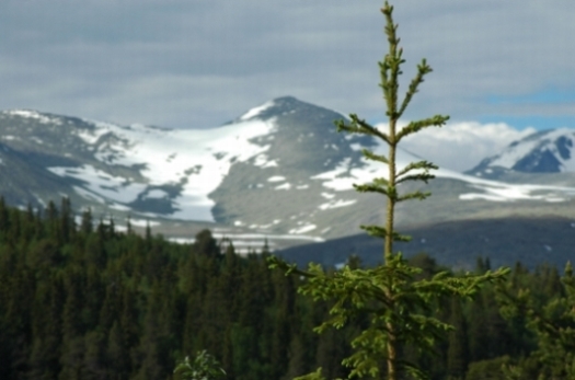 ROndane Nasjonal Park