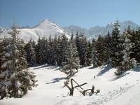 Tatry today