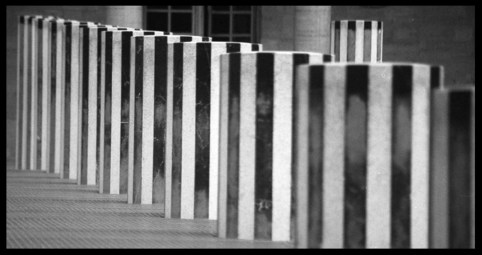 "Le zebre" - des colonnes au jardin du Palais Royal