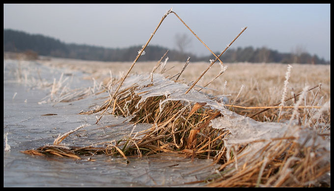 grass vs ice