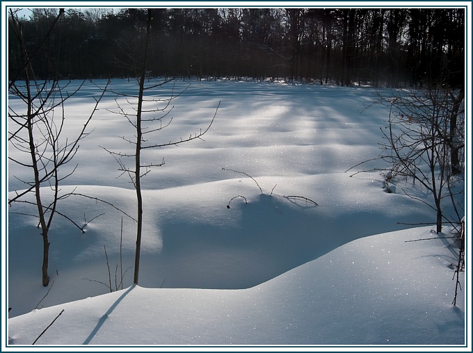 śnieg