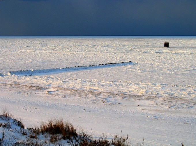 IceD SeA