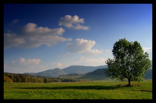 Z okolic Gór Kamiennych