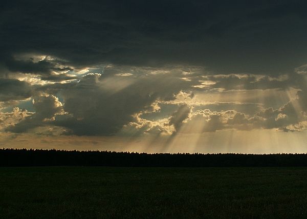 ZoStAń ZaNoSi SiĘ nA dEsZcZ...