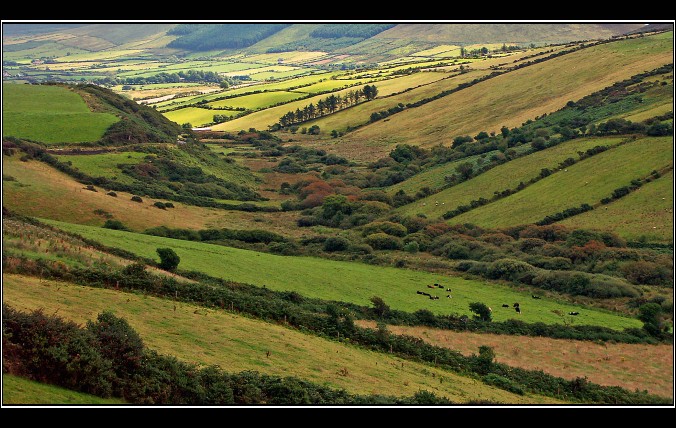 Po prostu Irlandia