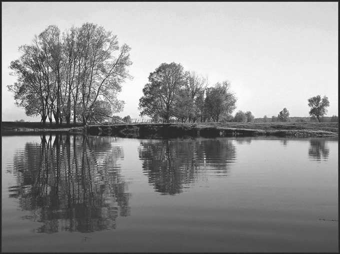 Narew majowa 2