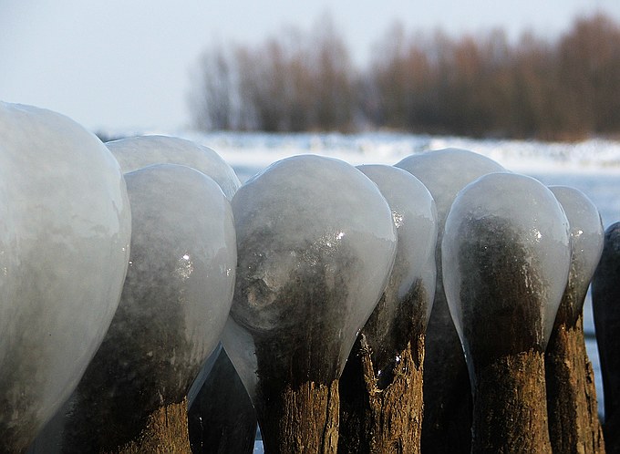 Lodowe patyczki