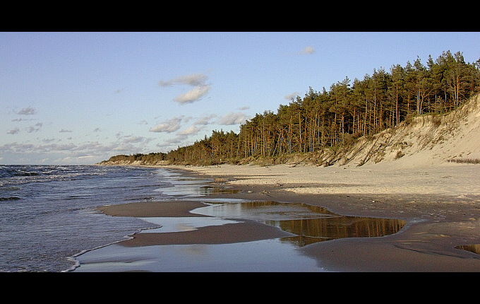 dzika plaża