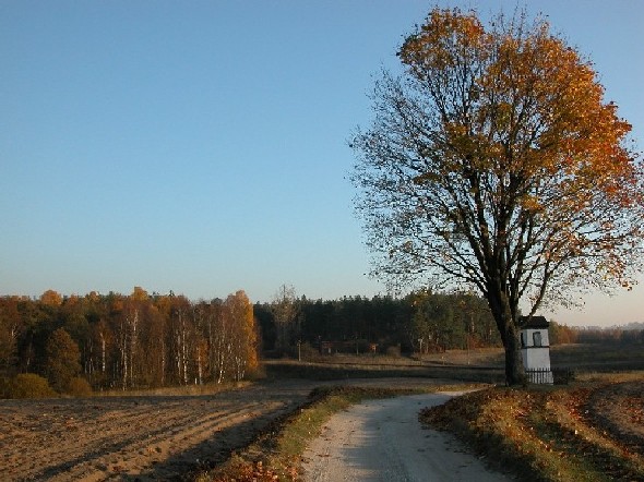 Pejzaż sentymentalny