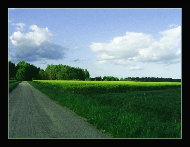 troszkę wiosennych klimatów...