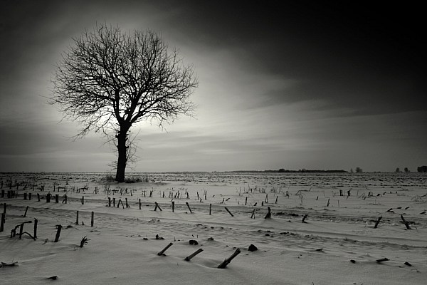 Podlasie ... zimą... cd