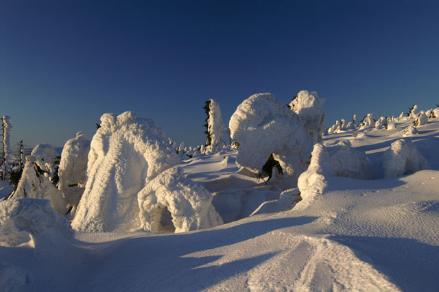 śnieżny reumatyzm