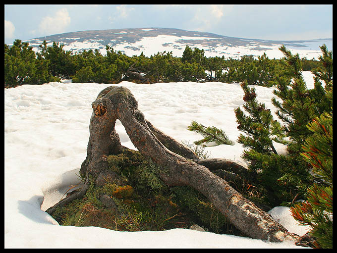 Karkonosze.II