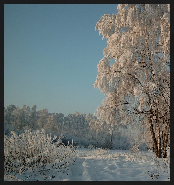 Winter