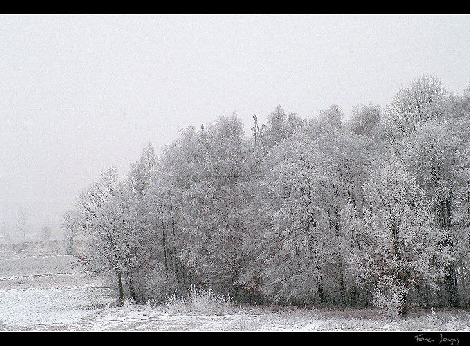 Za oknem znowu zimno... brrr....