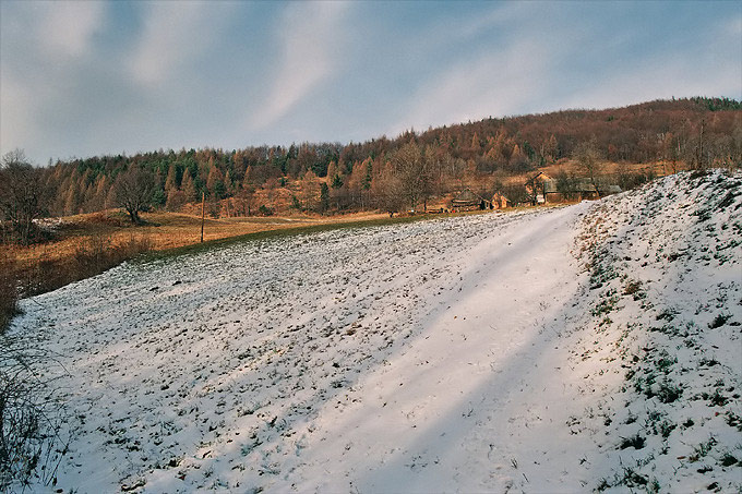 półzimek