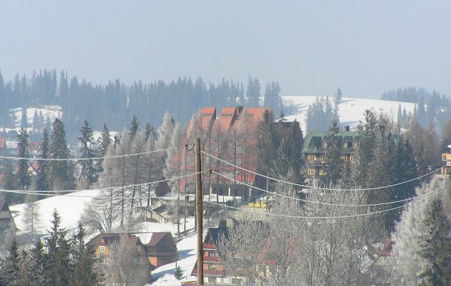 słup(ek) z Bukowiną T. w tle