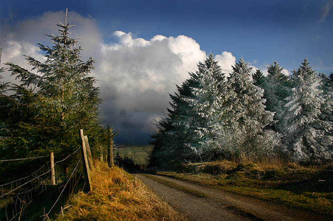 pierwsze z irlandii