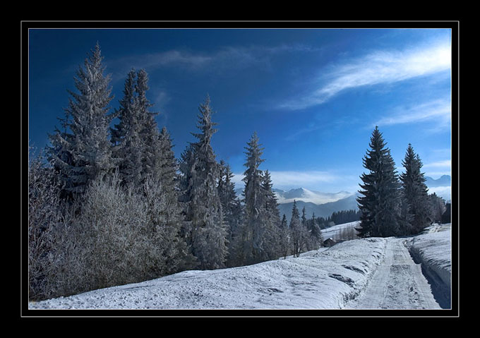 Kotelnica