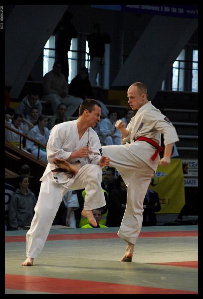 kyokushin