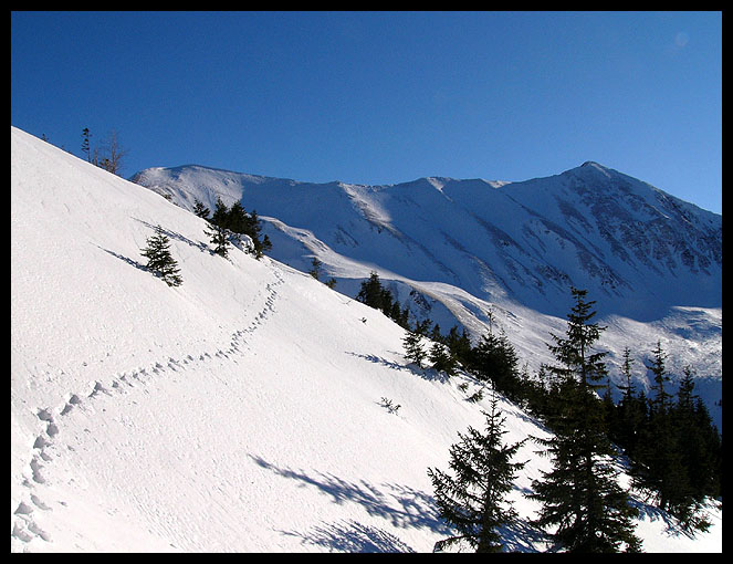 Tatry Zachodnie #5