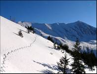 Tatry Zachodnie #5