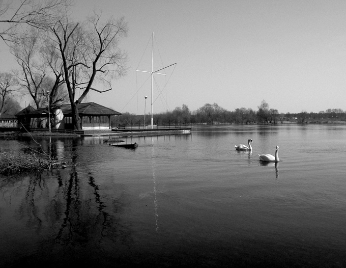 łabądzka brygada u-lotna