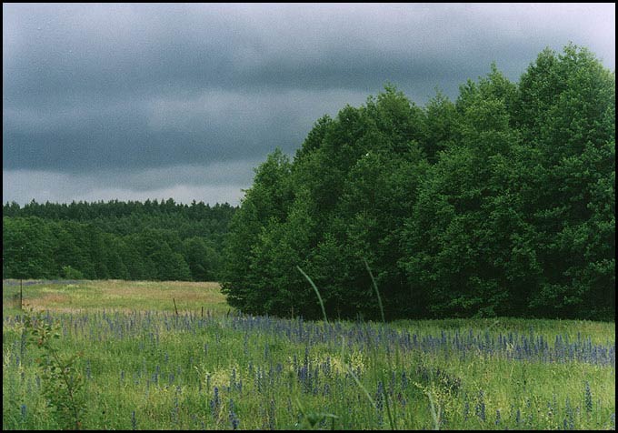 Cisza przed burzą