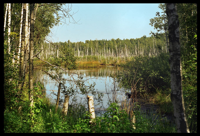 Mazowiecki Park Krajobrazowy,2002