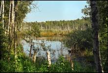 Mazowiecki Park Krajobrazowy,2002