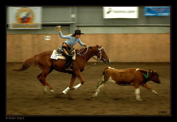 Polski western i rodeo