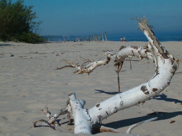 Na plaży