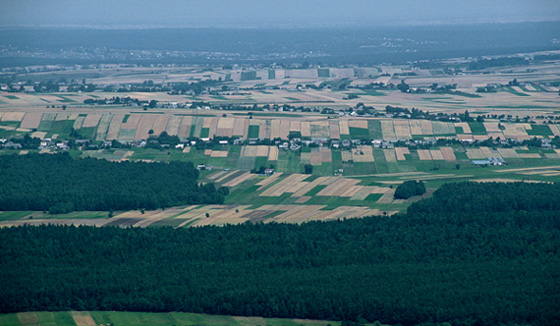 ...widok z Łysicy na przedgórze Świętokrzyskie