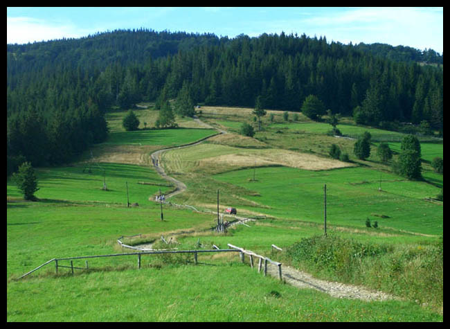 Polanka w Beskidach.