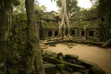 Ta Prohm Temple