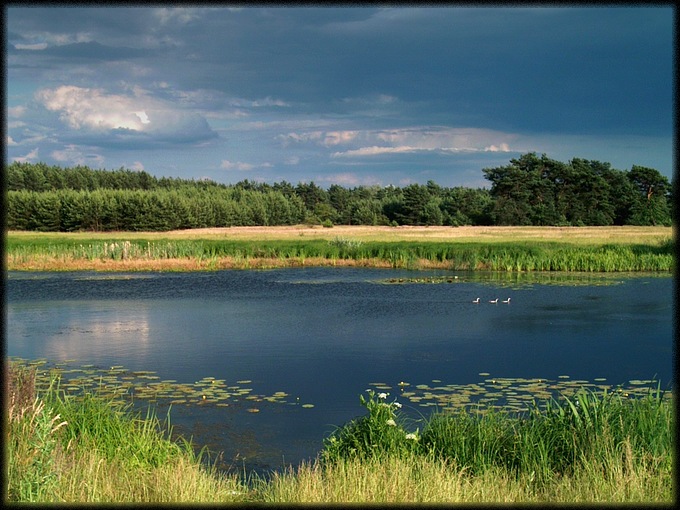 Cisza przed burzą