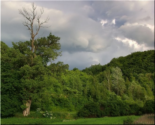 Kazimierski Park Krajobrazowy