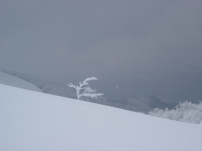 Bieszczady #2