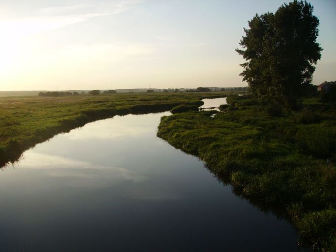 Rzeka NAREW