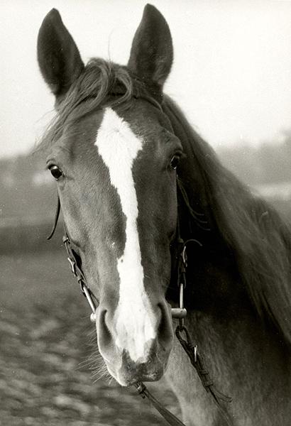 Lotna-portret zimowy 1995.