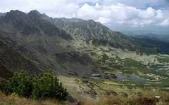 EMOCJONAL LANDSCAPE