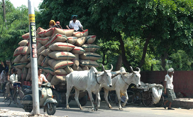 ekologiczny transport miejski