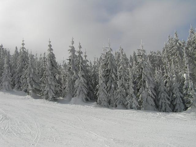 Jeszcze śnieg