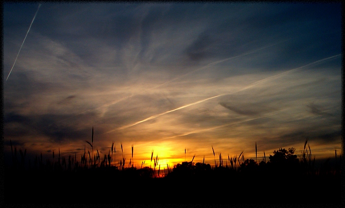 Nad polami wstaje nowy dzień... |31.05.2004|