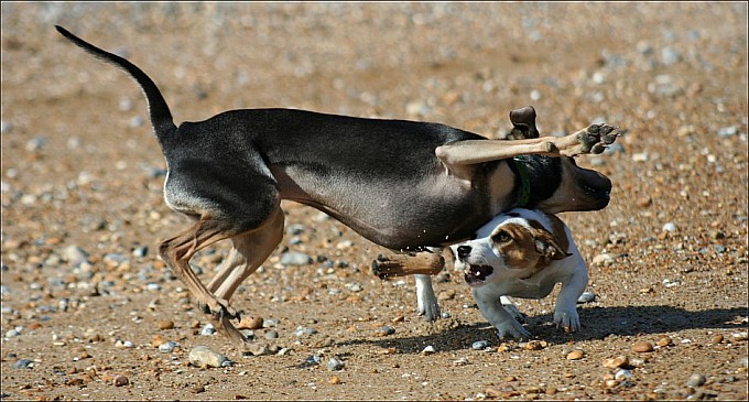 Break Dance - czyli tanczyc kazdy, moze troche lepiej, lub troche gorzej ... ale nie oto chodzi :))) Prawda ???